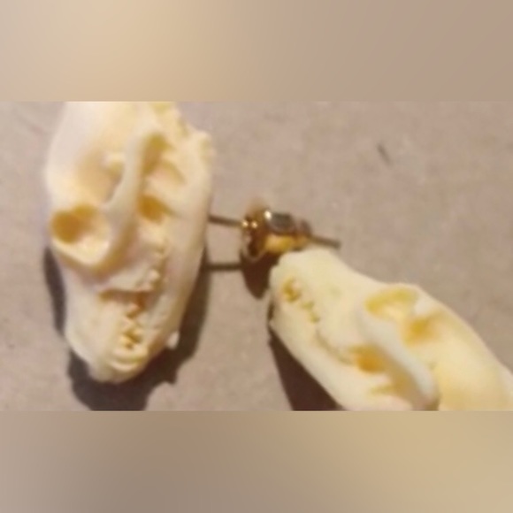 “Animal Skull” Dinosaur Sabertooth Wolf Dog Oddity Creepy Spooky Replica Studs - Picture 6 of 12